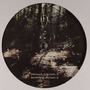 AFX album Analord 08