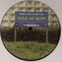 AFX album Analord 11