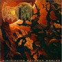 Decrepit Birth album Diminishing Between Worlds