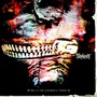 Slipknot album Vol. 3: (The Subliminal Verses)