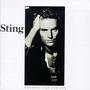 Sting album Nothing Like The Sun