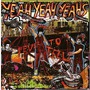 Yeah Yeah Yeahs album Fever to Tell