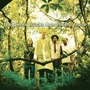 The Derek Trucks Band album Joyful Noise
