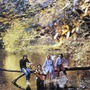 Paul McCartney & Wings album Wild Life