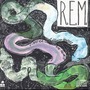 R.E.M. album Reckoning