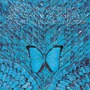 Santana album Borboletta (2002)