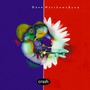 Dave Matthews Band album Crash