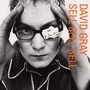 David Gray album Sell Sell Sell