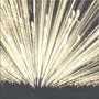 Faunts album High Expectations / Low Results