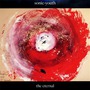 Sonic Youth album The Eternal