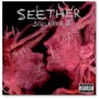 Seether album Disclaimer II