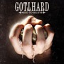 Gotthard album Need To Believe