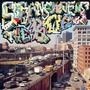 Sufjan Stevens album The BQE