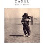 Camel album Dust And Dreams