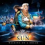 Empire Of The Sun album Walking On A Dream