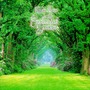 Kevin Kern album In The Enchanted Garden