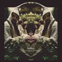 Midlake album The Courage Of Others