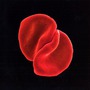 Peter Gabriel album Scratch My Back