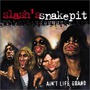 Slash's Snakepit album Ain't Life Grand