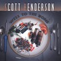 Scott Henderson album Well To The Bone