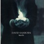 David Sanborn album Inside
