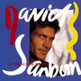 David Sanborn album A Change of Heart