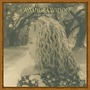 Cassandra Wilson album Belly Of The Sun