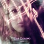 Ellie Goulding album Lights