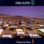 Pink Floyd album A Momentary Lapse Of Reason