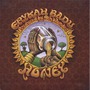 Erykah Badu album New Amerykah Part One (4th World War)