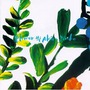 Akira Jimbo album Flower