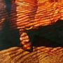 Acoustic Alchemy album Red Dust And Spanish Lace