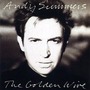 Andy Summers album The Golden Wire