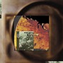 Michael Manring album The Book Of Flame