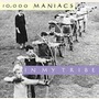 10,000 Maniacs album In My Tribe