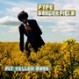 Fyfe Dangerfield album Fly Yellow Moon