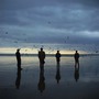 Echo & The Bunnymen album Heaven Up Here