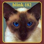 Blink-182 album Cheshire Cat