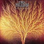 Van Der Graaf Generator album Still Life
