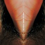 Venetian Snares album Meathole