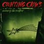 Counting Crows album Recovering The Satellites