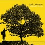 Jack Johnson album In Between Dreams