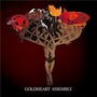 Goldheart Assembly album Wolves And Thieves