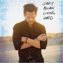 Gary Allan album Living Hard