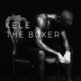 Kele album The Boxer