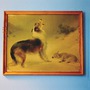 Explosions In The Sky album The Rescue