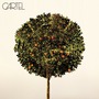 Cartel album Cartel