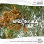 Nova Natura 2