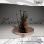 Ikebana