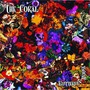 The Coral album Butterfly House